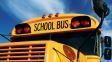 Calling all new bus riders!